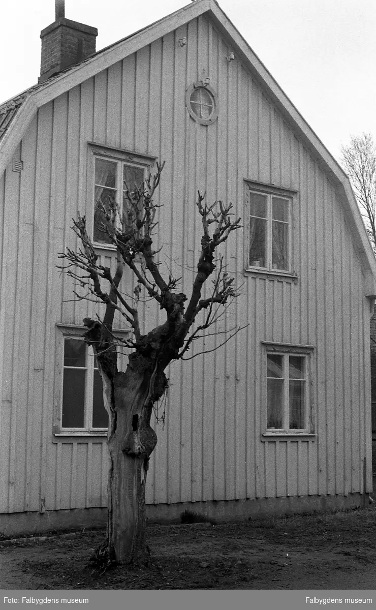 Byggnadsinventering 1972. Tunnbindaren 3. Boningshus södra gaveln.
