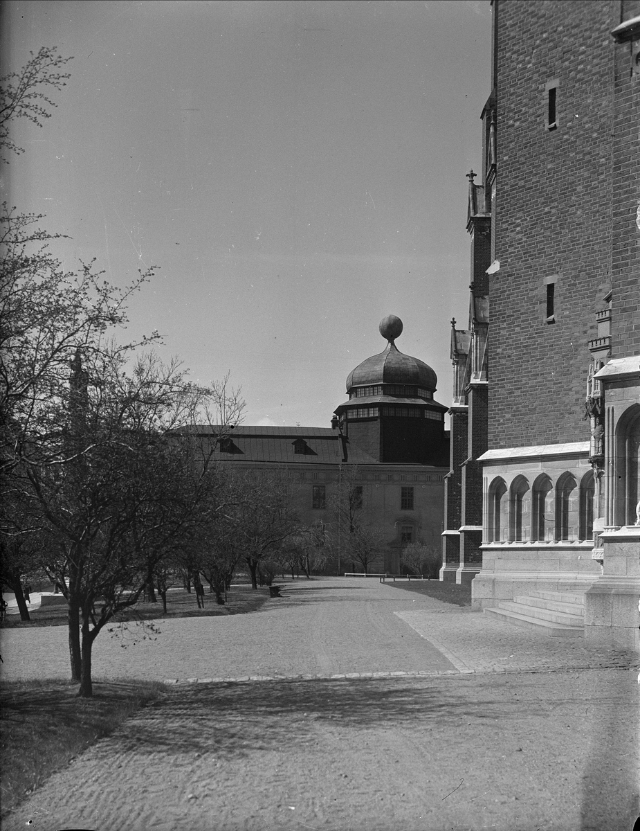 Uppsala domkyrka och Gustavianum, Uppsala