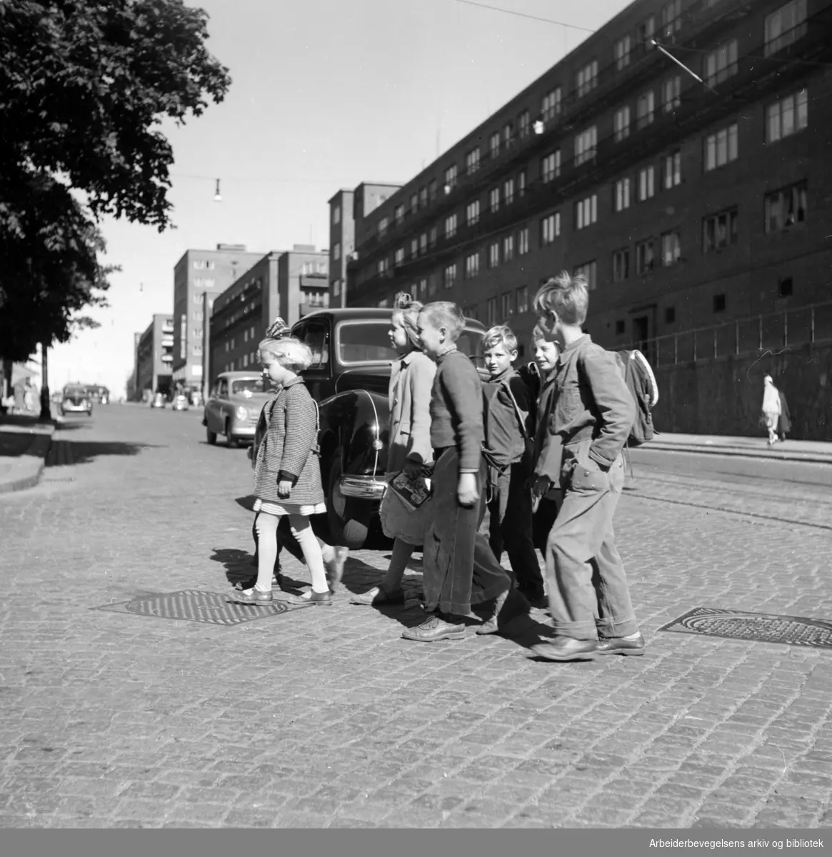 Trondheimsveien. Farlig overgang til Rosenhoff skole. September 1952