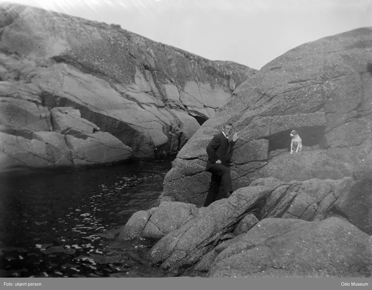 fjord, svaberg, mann, hund