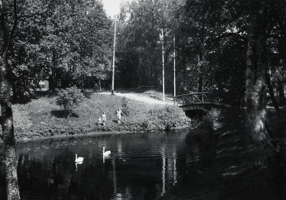Hembygdsparken i Ljungby, ca 1946.
Svandammen.