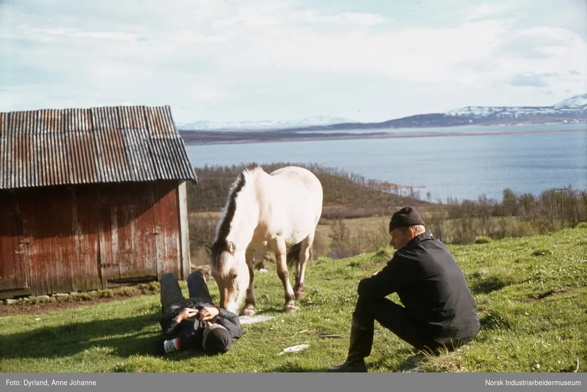 Bjørn Dyrland sitter på gresset, mens Olav Vågen ligger på gresset, mens en fjordhest lener hodet sitt på han. På gården Kvammen med utsikt mot innsjøen Møsvatn