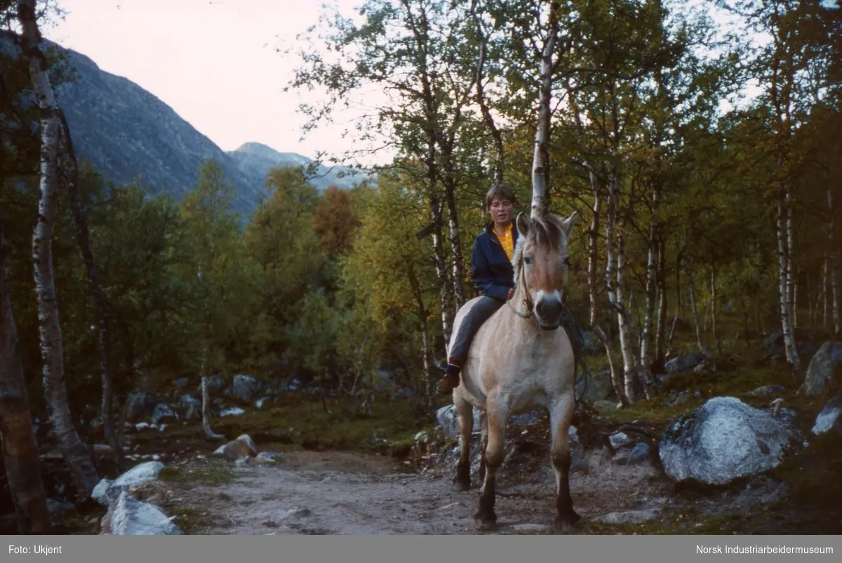 Anne Dyrland rir fjordhesten Gaute i Skindalen