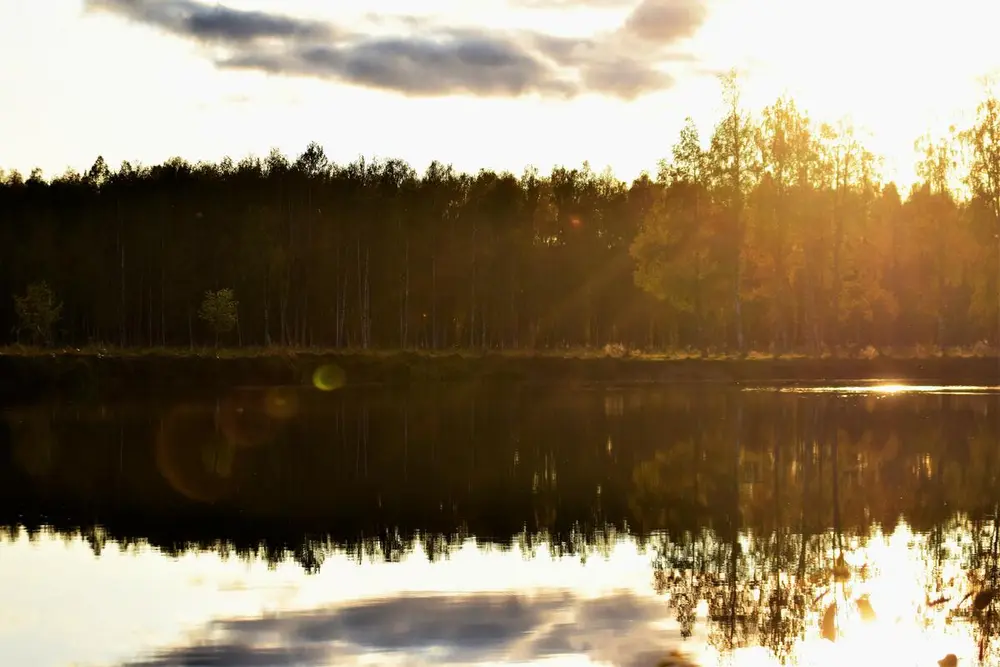 Foto av soloppgang i naturreservatet langs elva og trelinjen ved vannkanten