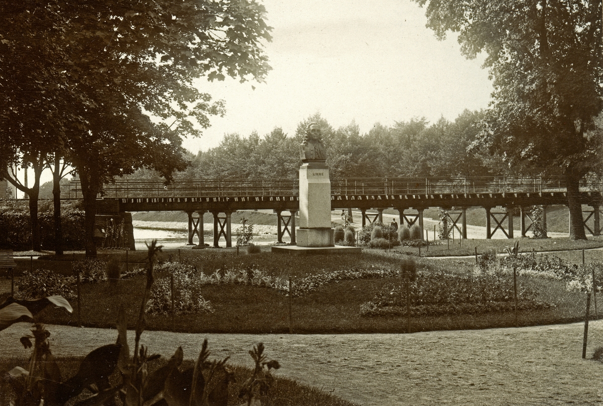 Linnés byst och planteringen i Linnéparken vid järnvägsbron. ca. 1915, Växjö.