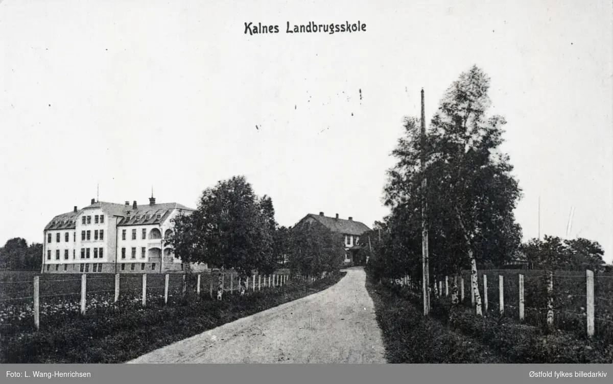 Kalnes Landbruksskole i Tune 1917. Veien opp til skolen. Postkort.