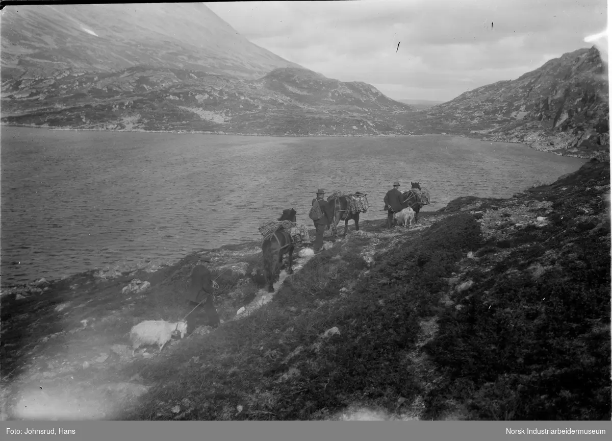 Tre menn med tre kløvhester og to geiter foran et vann i Tuddal. I bakgrunnen er det et fjell.