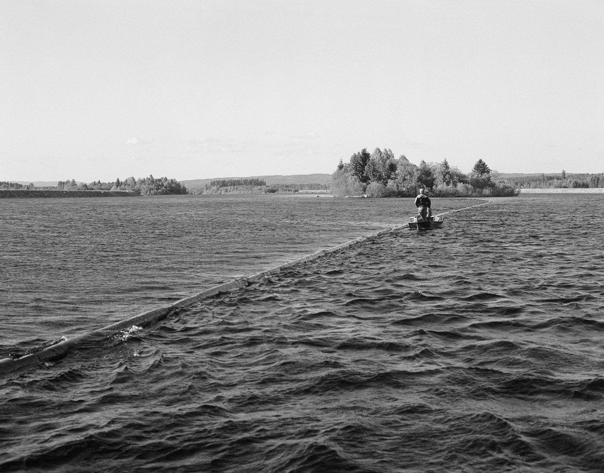 Lensene strammes. Tre menn i båt på Glomma ovenfor kraftverksdammen i Strandfossen, Elverum, Hedmark.