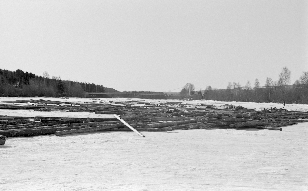 Tømmertillegging på ei snø- og isdekt ør ved Glomma, Storøra ved Opphus i Stor-Elvdal i Hedmark vinteren 1964. Her er tømmeret lagt i floer vinkelrett på underlagsstokker på den snødekte isen. Glomma fellesfløtingsforening, Glommen Tømmermaaling og andre bransjeorganisasjoner så helst at tømmeret ble levert ved elvebredden, for der var det ikke samme fare for nedkjøving som ute på vassdraget. Stokker som ble innfrosset på denne måten ble fuktmettete, noe som innebar stor fare for at det ville synke når det skulle fløtes over lange distanser mot industrianleggene ved den nedre delen av vassdraget. Med tanke på tømmermålinga var det viktig at stokkene lå i enkle floer eller flaker. På den måten kom målerne godt til med diameterklavene sine. Her lå tømmret hulter til bulter. Reglene for tillegging av fløtingstømmer på den tida dette fotografiet ble tatt er gjengitt under fanen «Opplysninger».

I bakgrunnen ser vi hengebrua over det drøyt 100 meter brede Opphussundet.