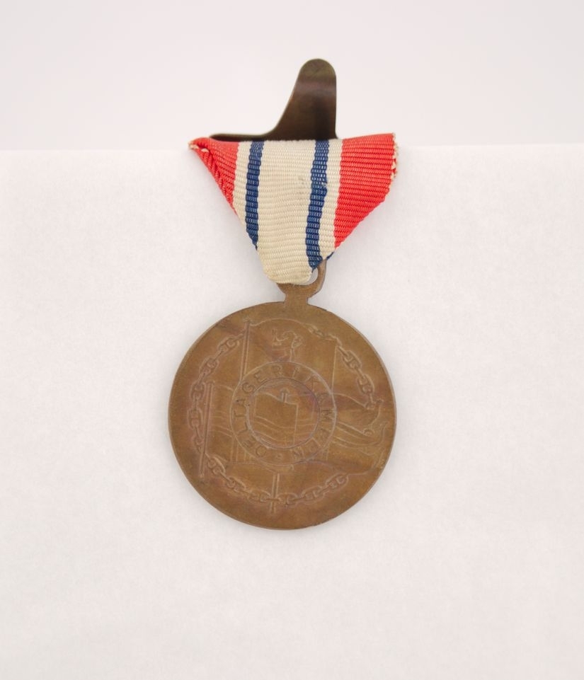 Medaljen i bronse. På adversen er Norges riksvåpen med omskriften «9 APRIL 1940 * 8 MAI 1945 *». På reversen er kongeflagget, handelsflagget og orlogsflagget. Over disse en smal sirkel med innskriften «DELTAGER I KAMPEN». Motivet er omgitt av en lenke. Bånd i rødt, hvitt og blått.