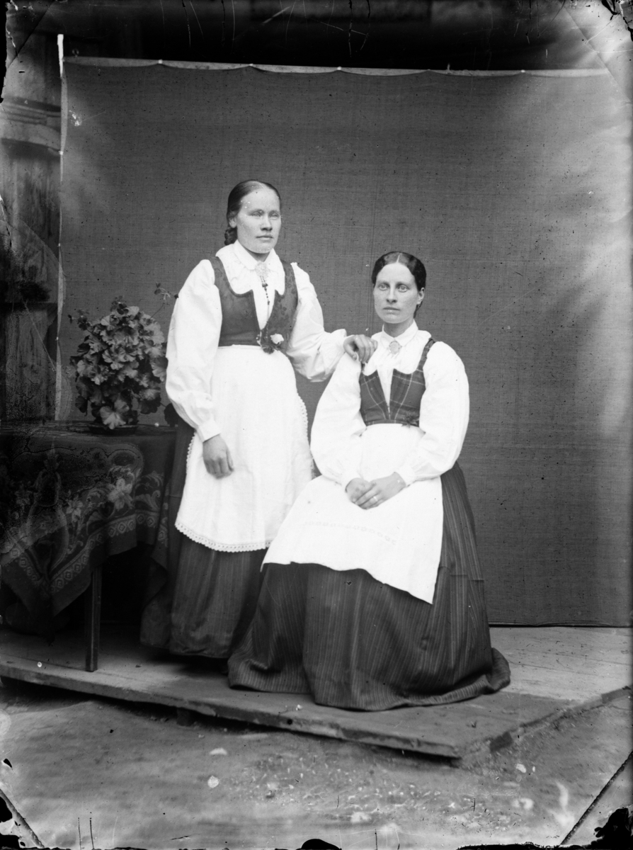 Portrett av to kvinner i bunad: Lina Olsdatter Baarstad, gift Sveine og Mari Einarsdatter Moen, gift Uldalen