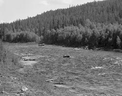Sluttrensk i elva Stor-Grøna i Trysil, Hedmark. Fløtere i bå