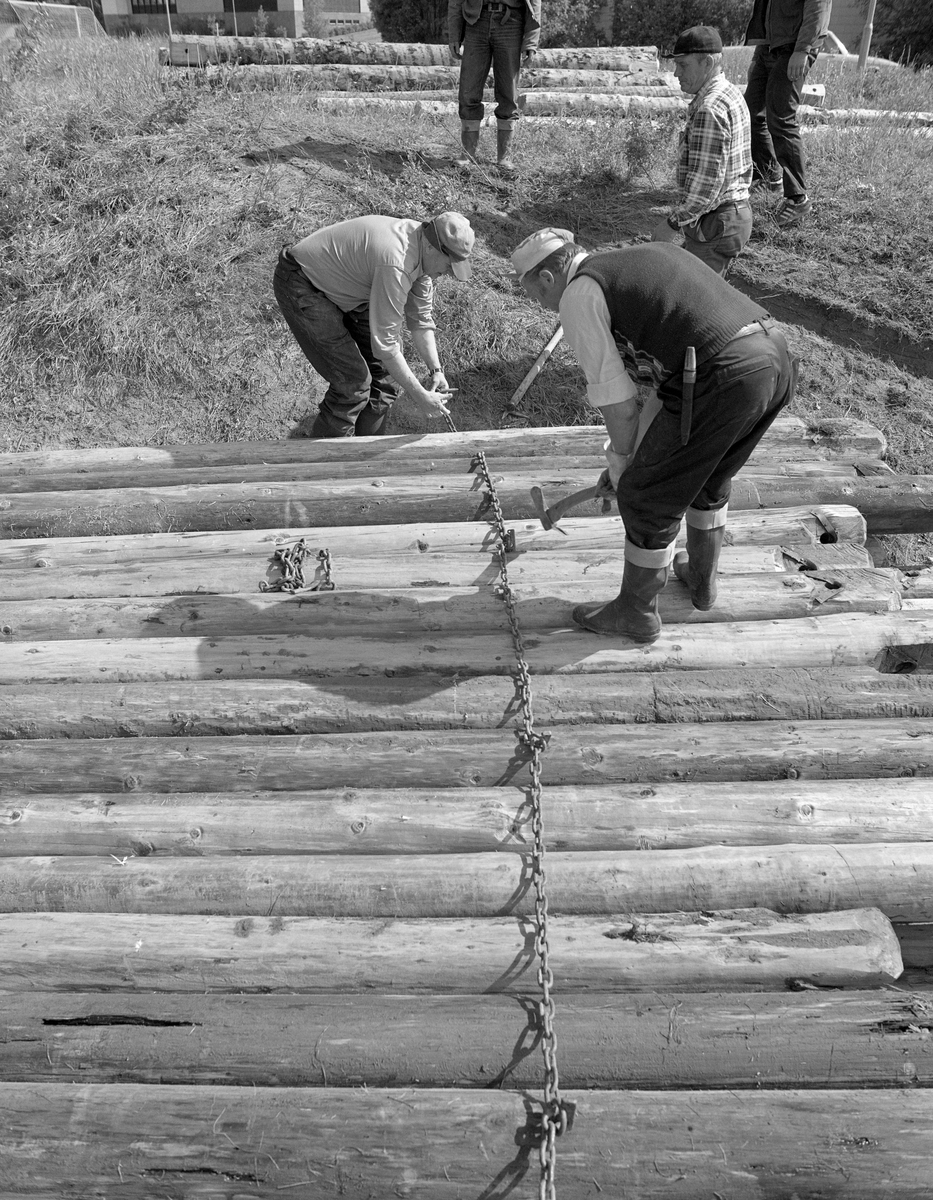 Strølagt velte med lensetømmer i elveskråningen nord for Nybrua i Elverum i Hedmark sommeren 1984. Ledelensene besto av barket rundtømmer med hull - «øyer» [øyne] - i ytterendene. Ved montering av lensene ble det tredd lensekjettinger gjennom disse hullene, slik at stokkene dannet en lang kjede som kunne fungere som flytende stengsel for løstømmer som kom flytende fra ovenforliggende skogbygder. Poenget var å skjerme fløtingsvirket forbi bakevjer, steinører eller trange sideløp der det lett kunne sette seg fast. Lensetømmeret tilhørte Glomma fellesfløtingsforening, og det ble gjenbrukt i slike lenser år etter år. Mellom sesongene lå lensetømmeret i luftige strøvelter i elveskråningene. Stokkene skulle være noenlunde tørre og ha god flyteevne når sesongen startet. Lagringsstedet i skrånende terreng mot elveløpet gjorde det lett å få dem på vannet. Fløterne slo lensekjettinger rundt tømmerfloene for å hindre at stokkene ikke skulle rulle ut i elva før lenselegginga tok til.