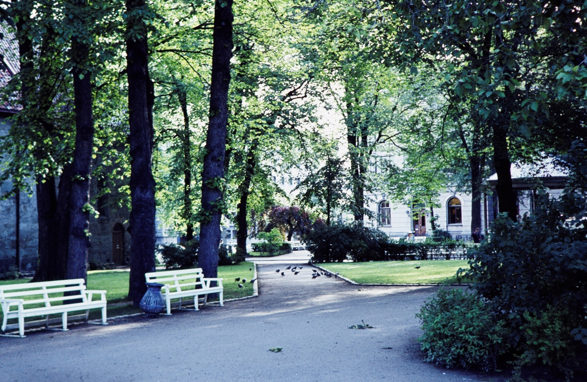 Parken ved Vår Frue kirke