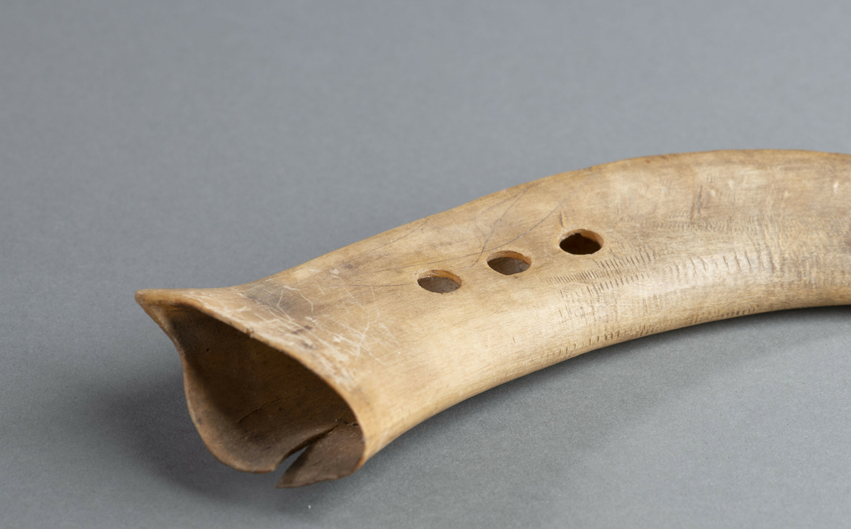 Et prillarhornhorn med  3 fingerhull.. Det er uthult og til å blåse i i den tynneste enden.
