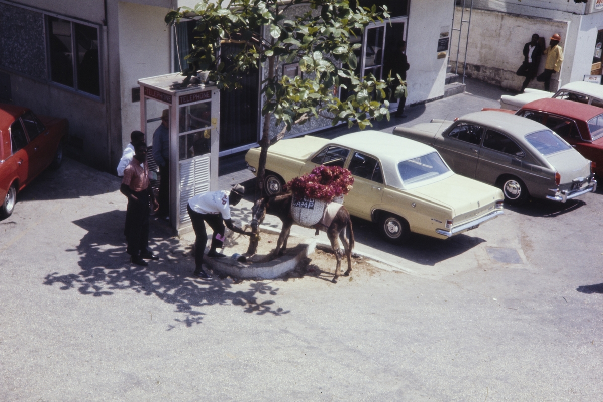 Parkerte biler ved en gate på Jamaica. Til venstre noen menn og et esel ved en telefionkiosk.