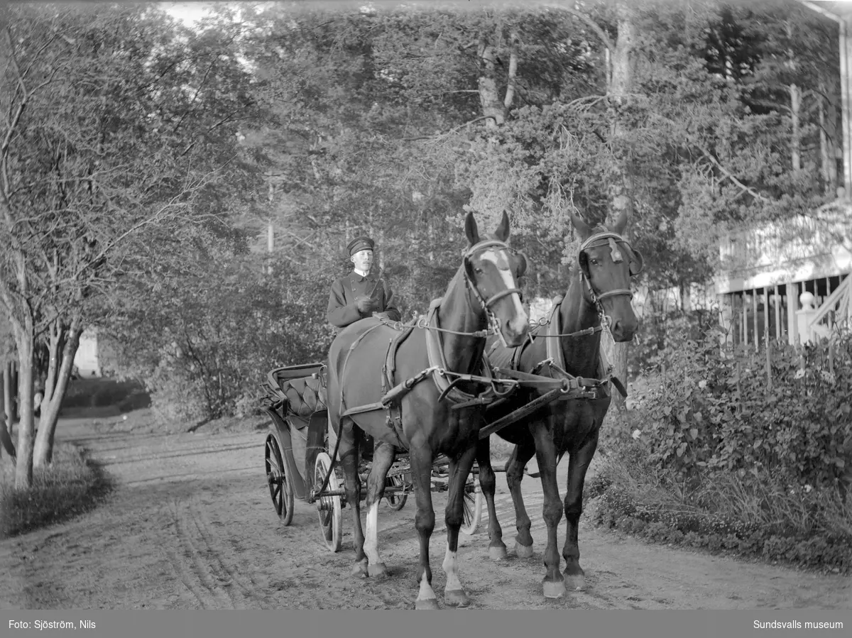 Svartviks disponent JC Barths kusk med ett ekipage med två hästar förspända framför en ståtlig vagn.