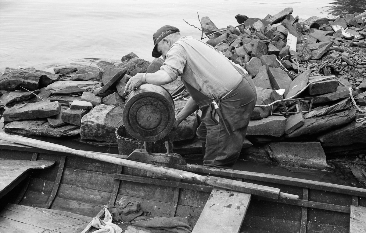 Yrkesfiskeren Paul Stensæter (1900-1982) forbereder fiske med reiv i Steinsfjorden, en sidearm til Tyrifjorden på Ringerike. Da dette fotografiet ble tatt sto Steinsæter på knærne ved sida av båten sin og tømte innholdet fra et stort sylindrisk kar over i et fimaskt nettingkar han hadde ståede i strandsona. «Innholdet» var antakelig ørekyt (Phoxinus phoxinus), en liten karpefisk Stensæter fanget for å bruke om agn på reiven han brukte til å fange abbor (Perca fluviatilis) med i sommersesongen. Fiskeren var kledd i dongerioverall og ensfarget flanellskjorte, og han hadde ei skyggelue med reklame for dekkprodusenten Goodyear på hodet. I sida på kjeledressen hang det en tollekniv,

Åsmund Eknæs fra Norsk Skogbruksmuseum intervjuet Paul Stensæter i 1973 og 1974. Det fiskeren fortalte om reivfisket og bruken av «kime» som agn i Steinsfjorden sammenfattet Eknæs slik:

«Det kanskje mest effektive redskap på abboren var reiven. Når to stykker fisket sammen var det mulig å ha abborreiv med opptil 1 000 kroker. Disse hang i ca. 30 cm lange tamser med 2 favners mellomrom. Vi fikk altså her ei line på omkring 4 kilometers lengde! Reiven ble ikke satt på samme sted to dager i trekk. De satte den «bassenget rundt», dvs. at de fulgte en bestemt rutine for å få fisket rundt hele fjorden.

Da Paul gikk over til å fiske aleine nøyde han seg med 600 kroker. Agn var, så lenge det var lovlig, levende ørekyte, «kimer», Kima hadde han gående i en vannstamp med et klede over. Kledet hang litt ned i vannet slik at det ble en liten dam på oversida. Oppi her tok han en neve kime etter hvert som han trengte det. Reiven ble oppbevart i ei kasse med slinner langs kantene til feste for krokene. Paul greide å egne og kaste uti ca. 100 kroker på et kvarter. Da måtte han også få båten framover etter hvert som reiven ble satt ut.»