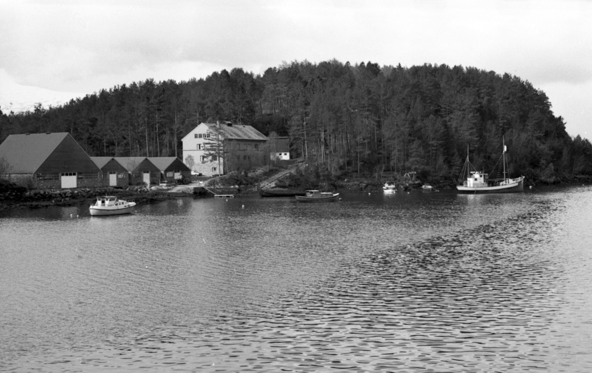 Prospektfotografi av hovedbygningen til Sunnmøre Museum med båthallene.