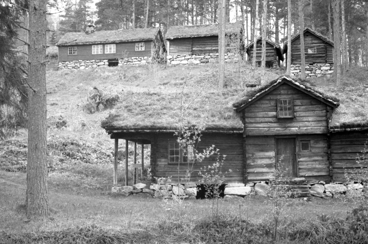 Prospektfotografi av "Slettereitstova" som står på Sunnmøre Museum. Tidligere lokasjon var Klokk i Sykkylven.