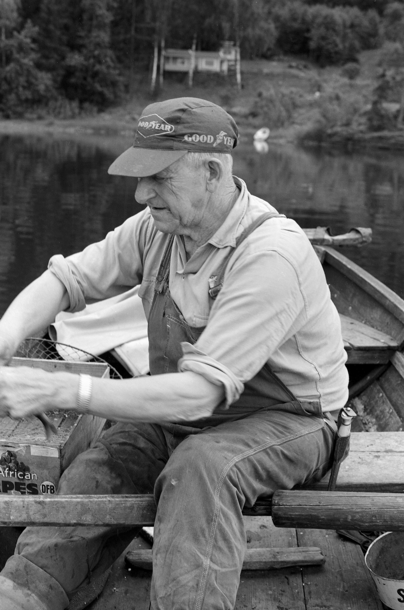 Yrkesfiskeren Paul Stensæter (1900-1982), fotografert i båten sin på Steinsfjorden, en sidearm til Tyrifjorden på Ringerike (Hole kommune) i Buskerud. Stensæter har fanget ørekyte (Phoxinus phoxinus) eller «kime», en liten karpefisk som ble brukt som agn under abborfiske med reiv. Reiven var ei lang line som det var fastknyttet fortommer med kroker på. Det var disse krokene som ble egnet med kime.

I 1970-åra var etnologen Åsmund Eknæs fra Norsk Skogbruksmuseum flere ganger på besøk hos Paul Stensæter for å observere ham i arbeid og intervjue ham om fiskeaktivitetene på ulike tider av året. Museumsmannen sammenfattet den kunnskapen han tilegnet seg om reivfisket og bruken av «kime» som agn i Steinsfjorden slik:

«Det kanskje mest effektive redskap på abboren var reiven. Når to stykker fisket sammen var det mulig å ha abborreiv med opptil 1 000 kroker. Disse hang i ca. 30 cm lange tamser med 2 favners mellomrom. Vi fikk altså her ei line på omkring 4 kilometers lengde! Reiven ble ikke satt på samme sted to dager i trekk. De satte den «bassenget rundt», dvs. at de fulgte en bestemt rutine for å få fisket rundt hele fjorden.

Da Paul gikk over til å fiske aleine nøyde han seg med 600 kroker. Agn var, så lenge det var lovlig, levende ørekyte, «kimer», Kima hadde han gående i en vannstamp med et klede over. Kledet hang litt ned i vannet slik at det ble en liten dam på oversida. Oppi her tok han en neve kime etter hvert som han trengte det. Reiven ble oppbevart i ei kasse med slinner langs kantene til feste for krokene. Paul greide å egne og kaste uti ca. 100 kroker på et kvarter. Da måtte han også få båten framover etter hvert som reiven ble satt ut.»