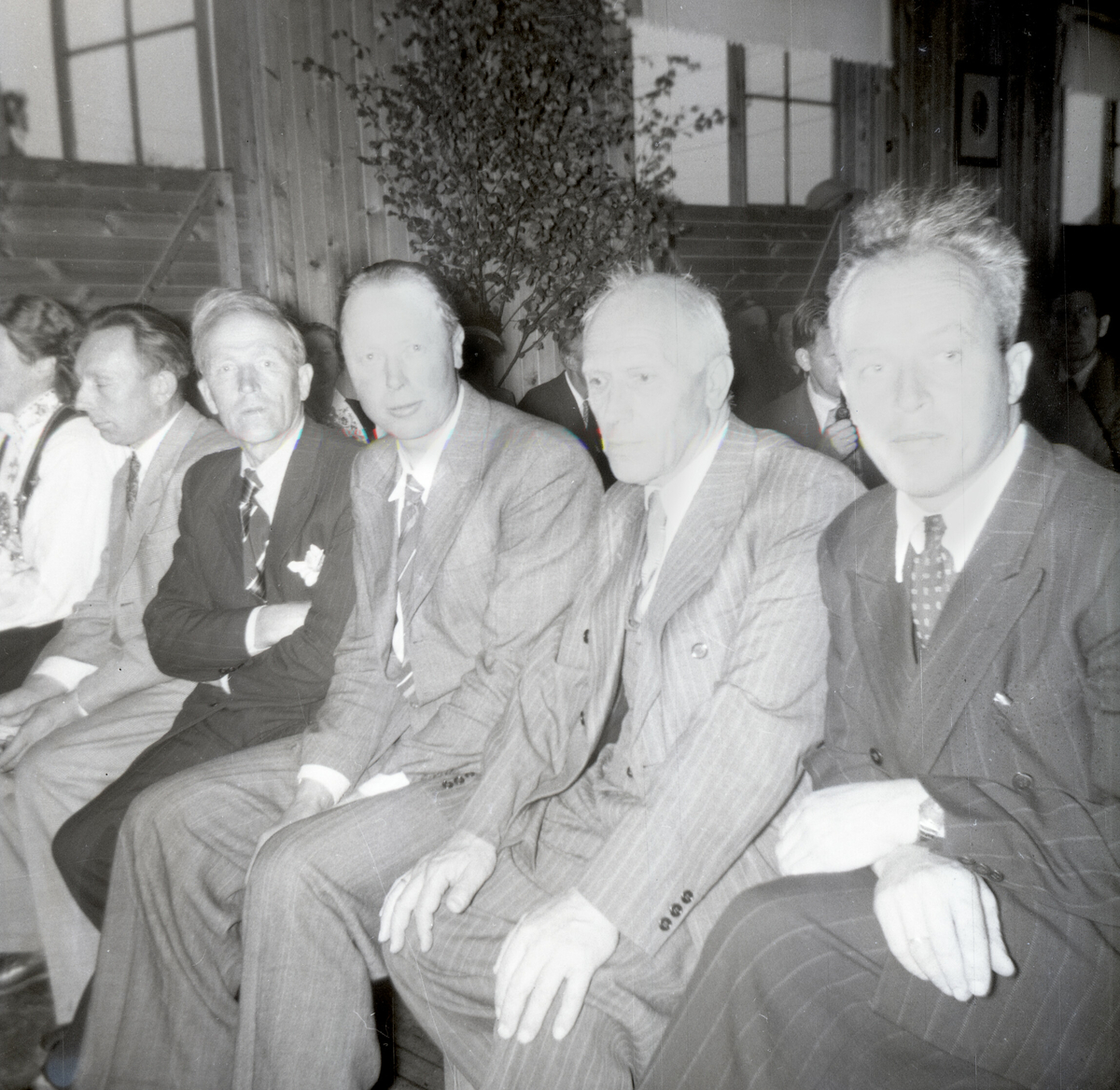 Fem bilde frå Landbruksselskapets fest på Akkerhaugen/eller Gvarv 15.8.1953