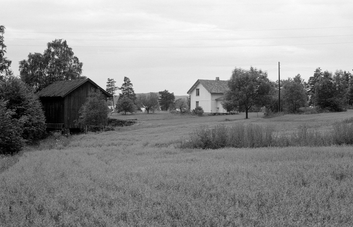 Gårdsbruket til yrkesfisker Paul Stensæter (1900-1982), Bjerkeli ved Steinsfjorden på Ringerike i Buskerud. Fotografiet er tatt over et åkerarel der det vokste havre, med en lien innskutt tange med tistler til høyre. Til venstre ser vi et bordkledd, tilsynelatende umalt uthusbygning. Våningshuset, et halvannenetasjes laftehus med kvitmalt bordkledning og krumtegltekket saltak ligger yil høyre i bildet. I bakgrunnen skimter vi et vannspeil, antakelig Tyrifjorden.

Det var faren til Steinsæter, Sigvart Stensæter (1878-1963), som kjøpte denne eiendommen. Jordbruksarealet var ikke stort nok til at det kunne brødfø en familie, så både Sigvart og Paul Stensæter skaffet seg ekstrainntekter fra skogsarbeid og ferskvannsfiske.