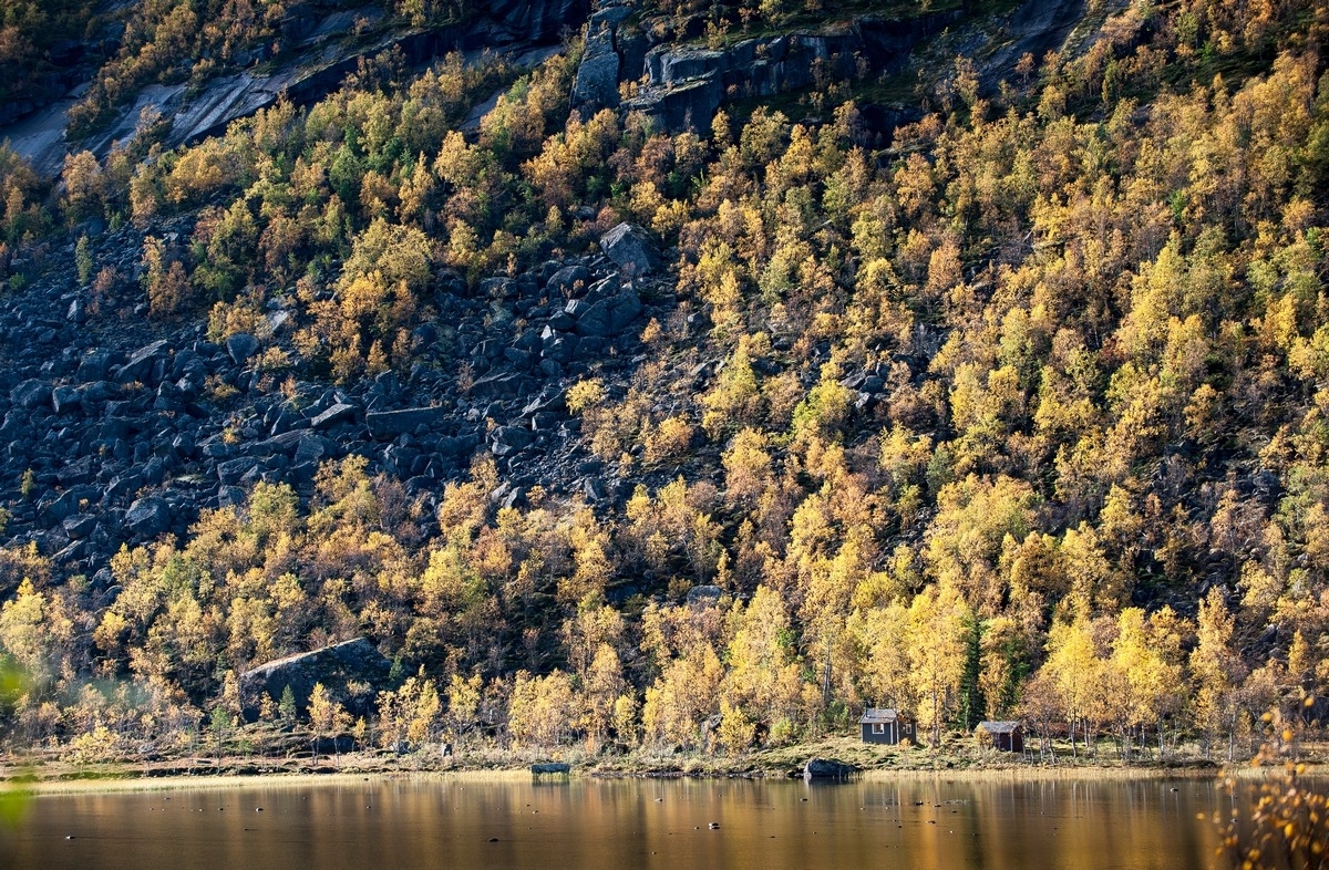 Hytter ved Lillevann. Foto fra Beisfjord . Foto 24. sept 2015