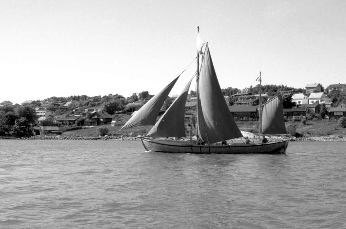 Motiv av en trebåt med seil fra båttreffet ved Sunnmøre Museum 1990.
