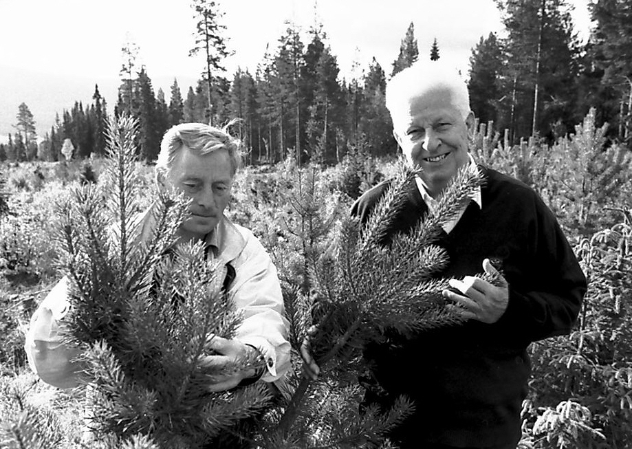 Skogforvaltning, Vidar Svarliaunet og Annar Vangen. 