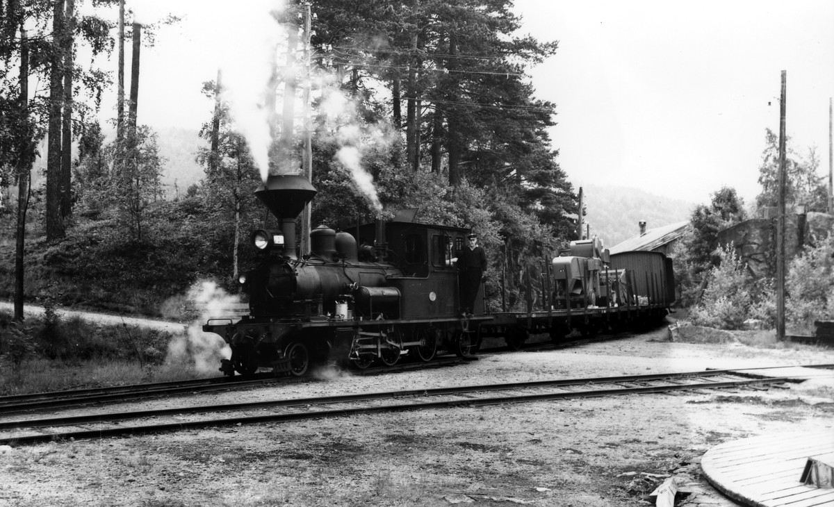 Setesdalsbanen. Godstog ved Hægeland. Lok nr. 2.  August 1958.