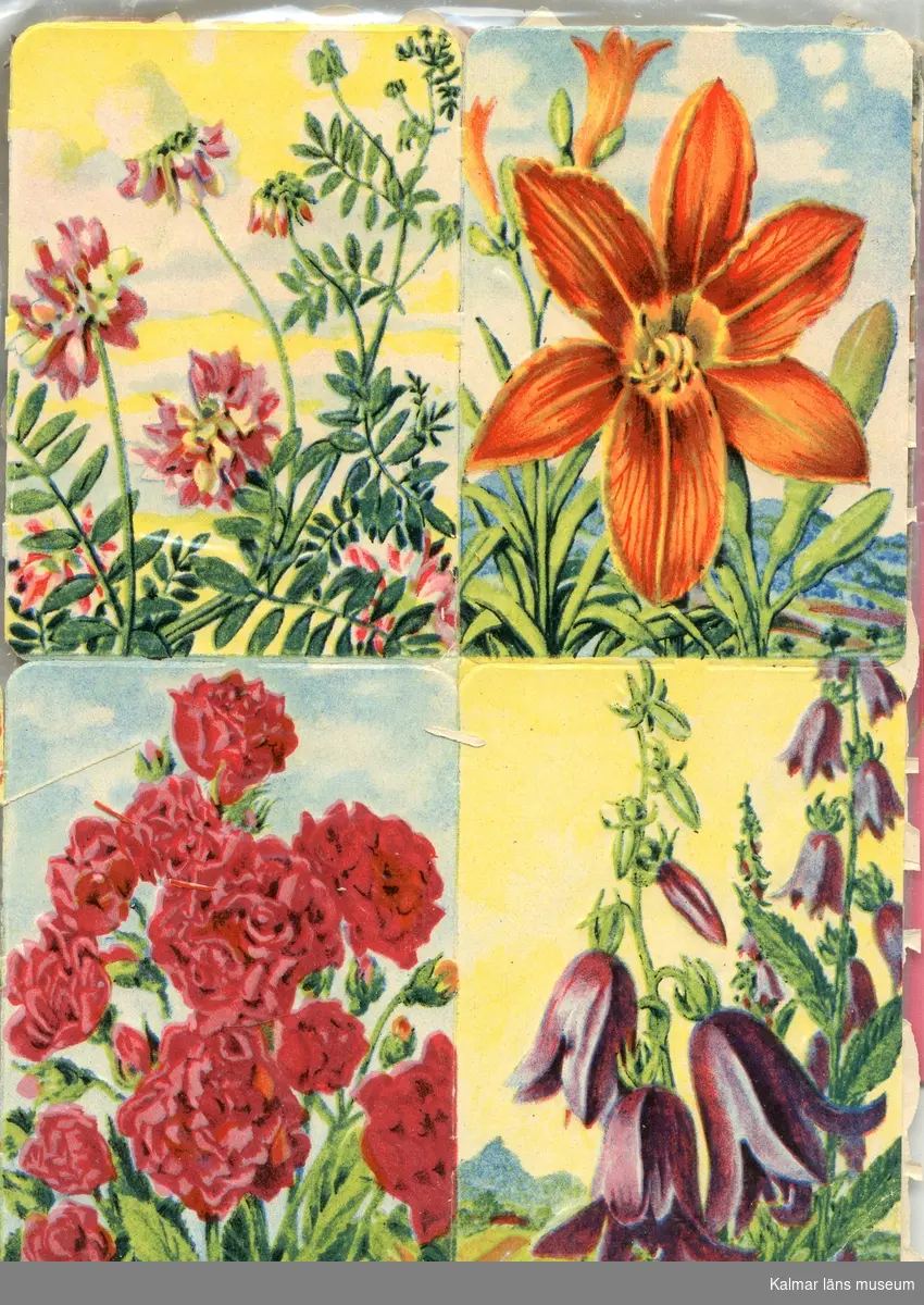 Fyra olika sorters blommor.