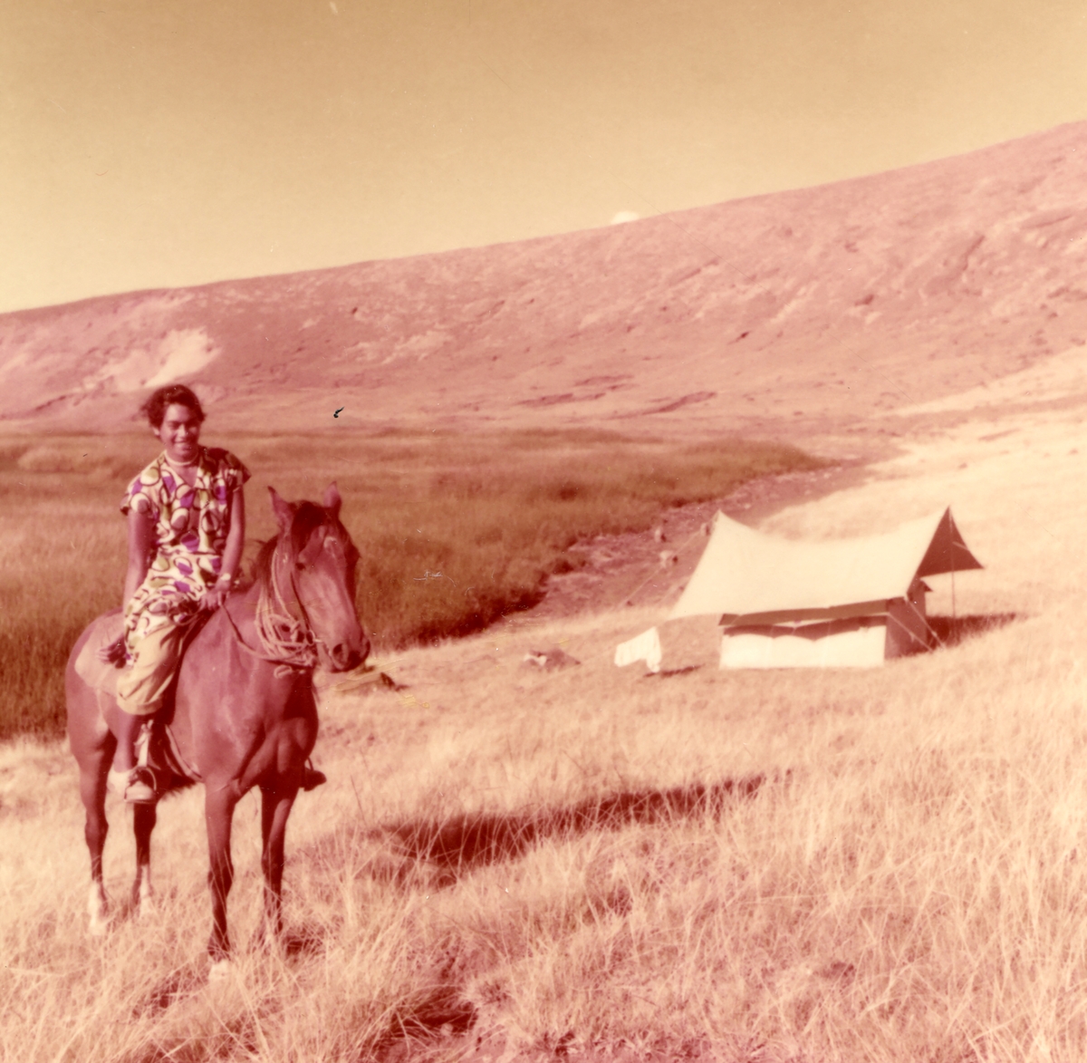 En polynesiske kvinne på hest ved telt hvor arkeolog Arne Skjøldvold bodde i under vulkanfjellet Rano Raraku 1955.