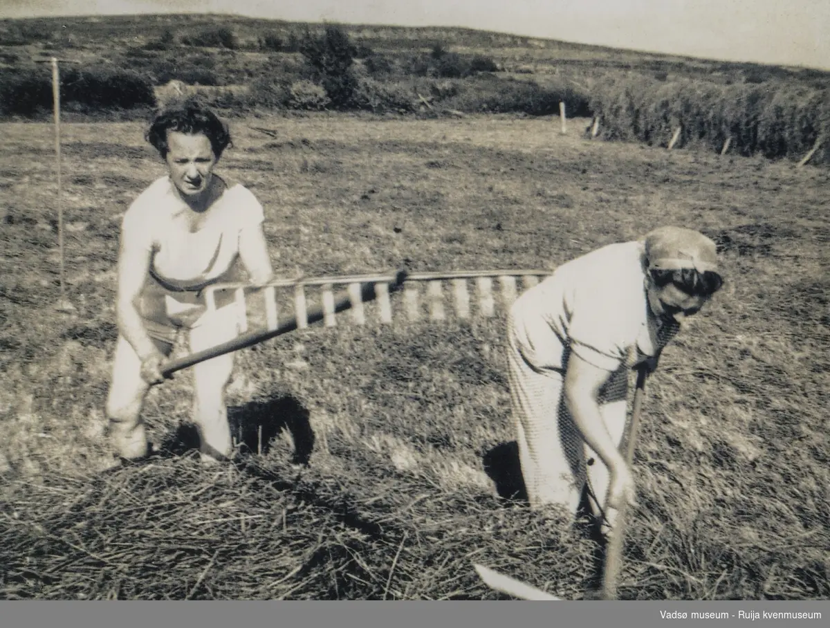 Ellen Kristine Sirkka (f. Andreassen) og hennes søster Vally Stock jobber med å hesje høy på Sirkkajordet i Vadsø. De bruker raker for å samle høyet, og deretter hengs det på hesjene. Bildet er tatt på 1950 - tallet.