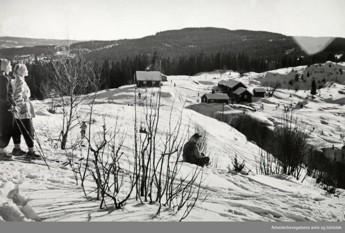 Nordmarka. Blankvannsbråten. Skitur, 1952