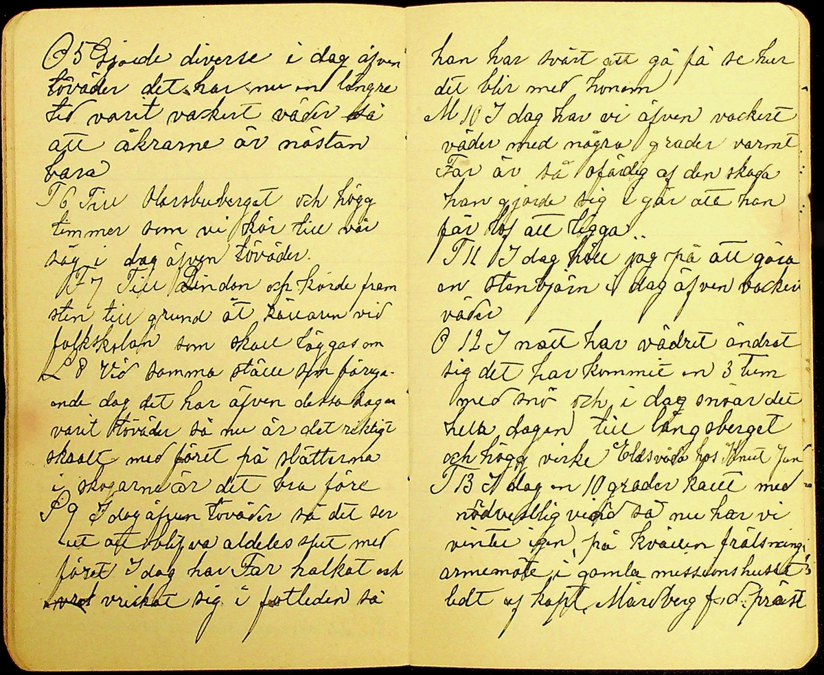 Dagbok skriven av Erik Hane, Norra Gröntuv, Tallbacken, under åren 1895-1897.
Innehåller anteckningar om bl.a. jordbruk och skogsarbete, väder, värnplikt, diverse händelser i samhället och resor.