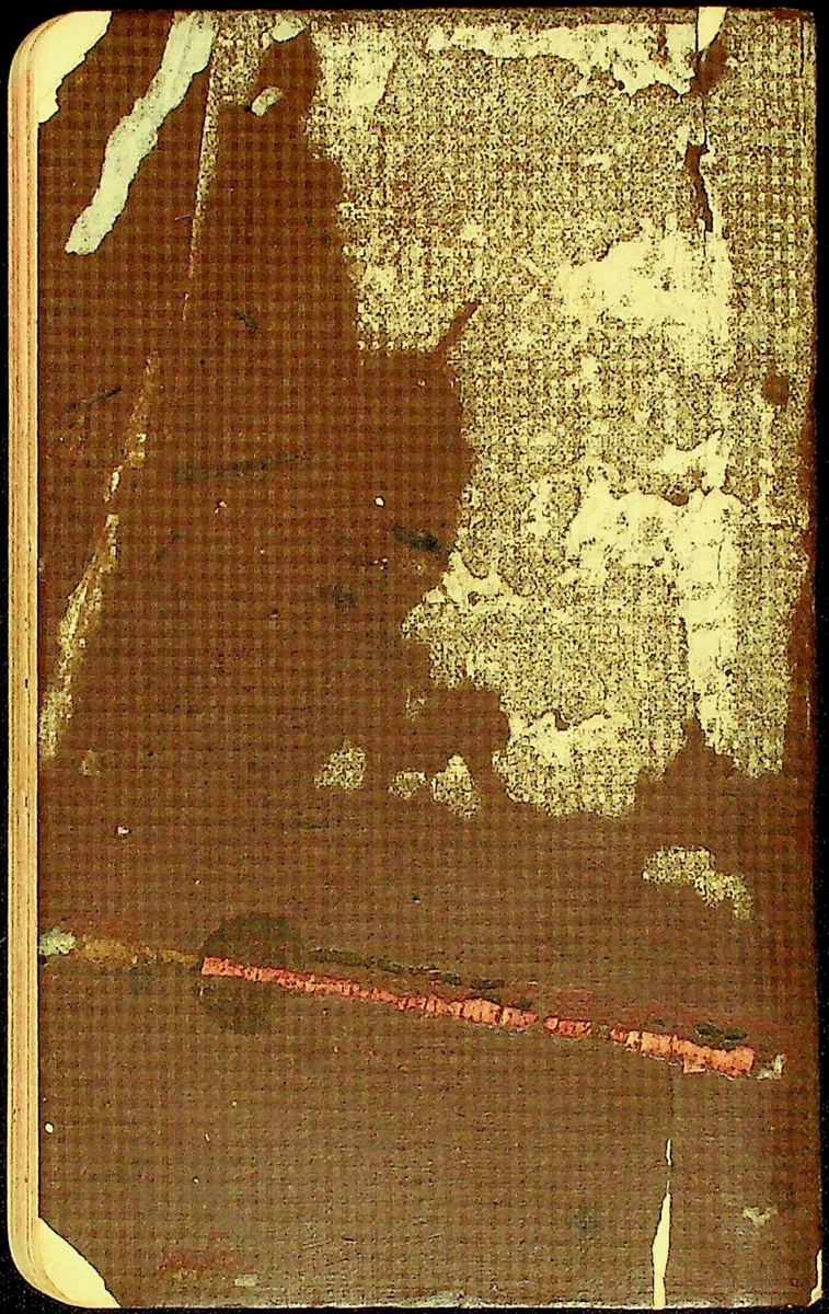 Dagbok skriven av Erik Hane, Norra Gröntuv, Tallbacken, under åren 1893-1895. 
Innehåller anteckningar om bl.a. jordbruk och skogsarbete, väder, värnplikt, diverse händelser i samhället och resor.
