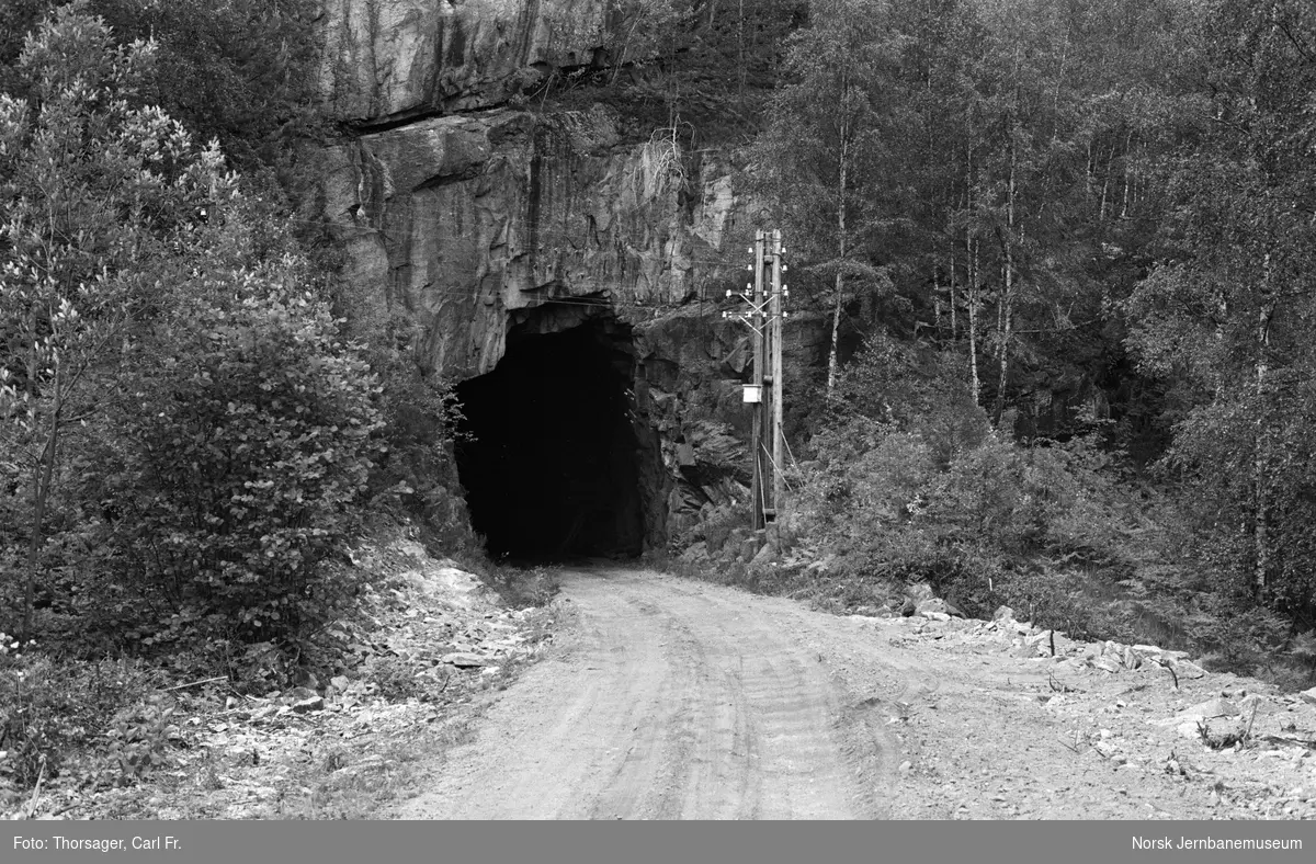 Setesdalsbanens nedlagte trase ved Røyknes tunnel II, søndre portal