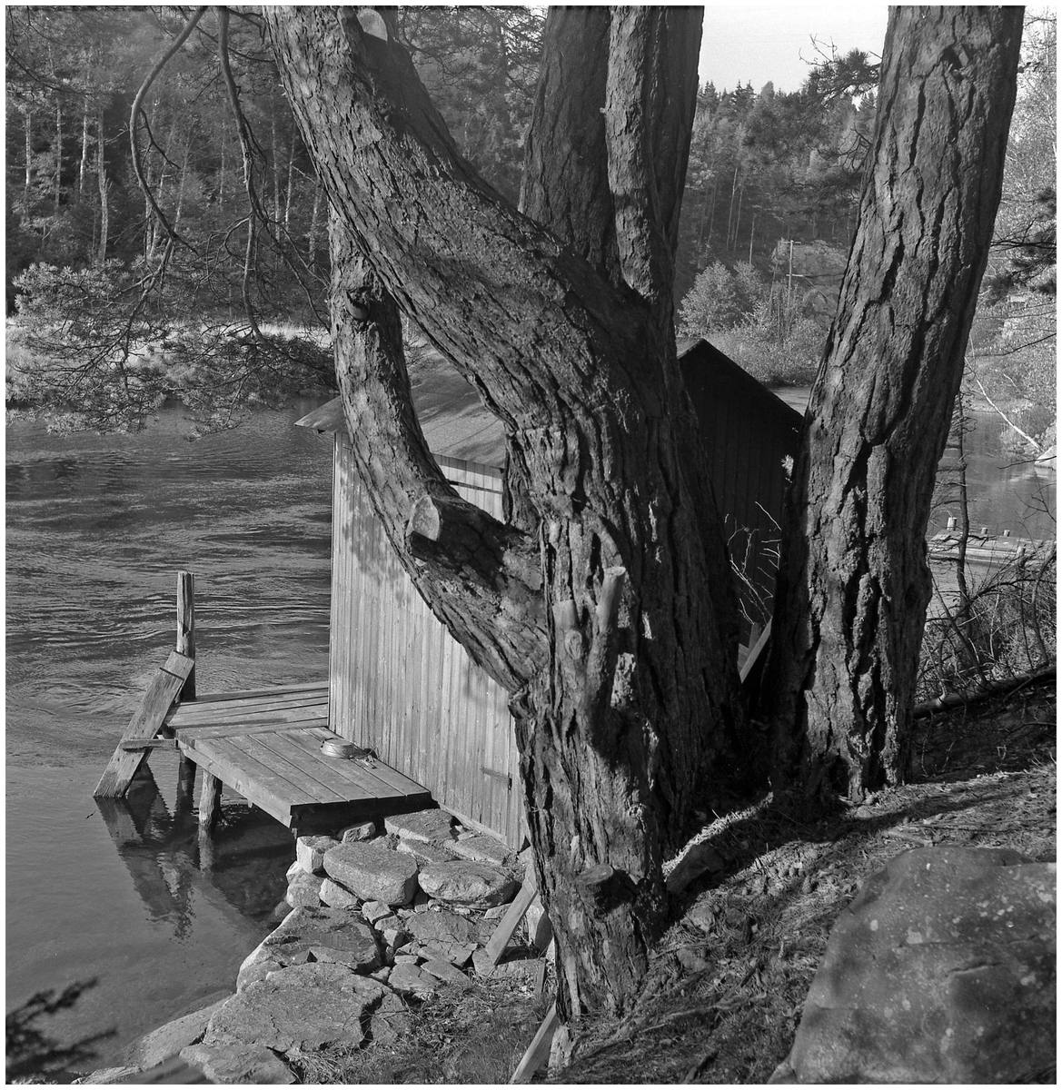 Badstuga vid oidentifierad sjö. 1957 - Alingsås museum / DigitaltMuseum