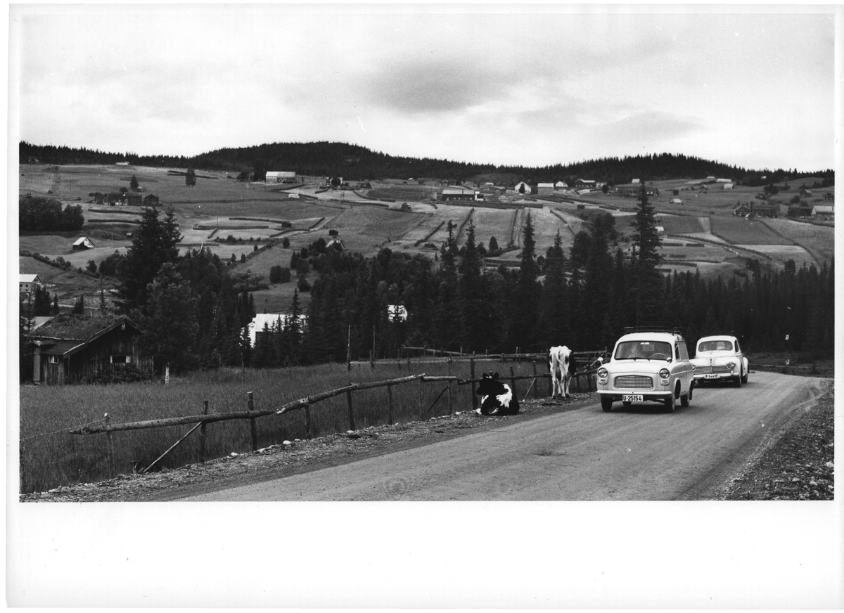 Tydal, Sør-Trøndelag, 1961. Ås eller lignende