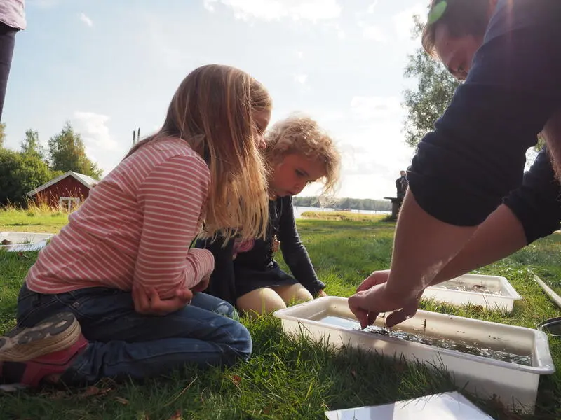 Foto av to barn som ser på insekter sammen med naturveileder