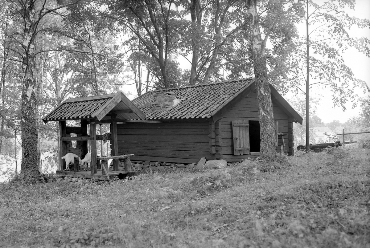 Parti av Regna hembygsgård. Bilden visar smedja från Fjärdingstorp, återuppförd på platsen 1950.