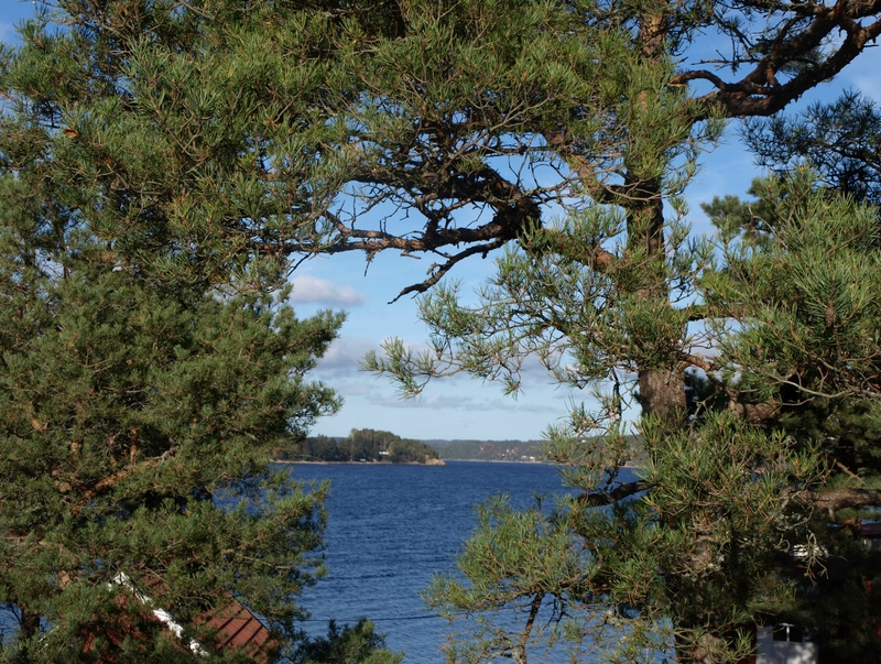 Ørnekuppas beskyttende beliggenhet ble komplettert av Skjebergkilen i øst, som gir fri seiling mot svenske farvann og videre inn mot tettstedet Skjeberg. Foto: Bodil Andersson, Østfoldmuseene - Halden historiske Samlinger.