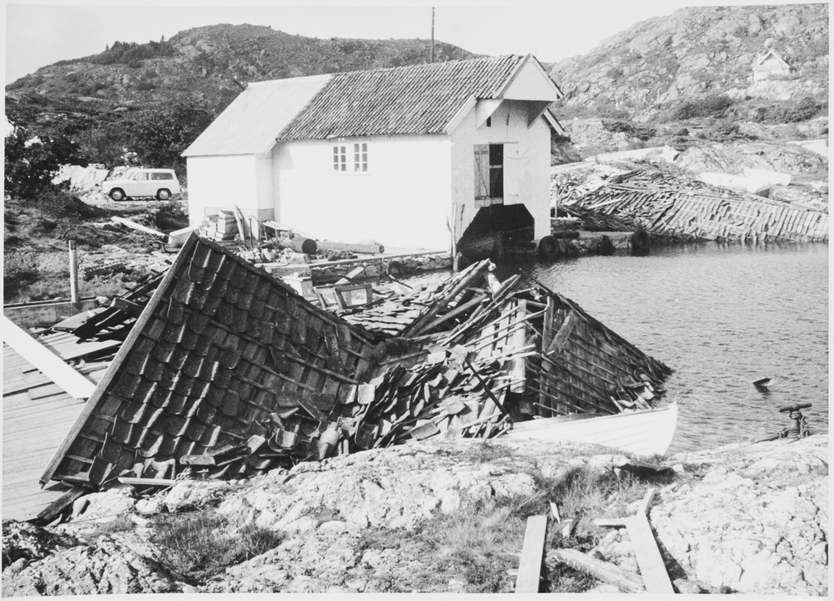 Nålaugviken etter orkanen, september 1969.
