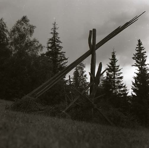 Hässjevirke från Skattungbyn, 8 augusti 1956.