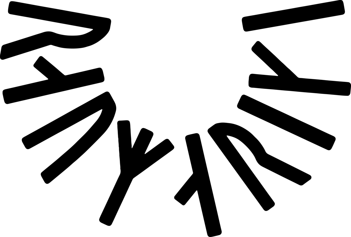 Bildet viser logoen til Raumariki
