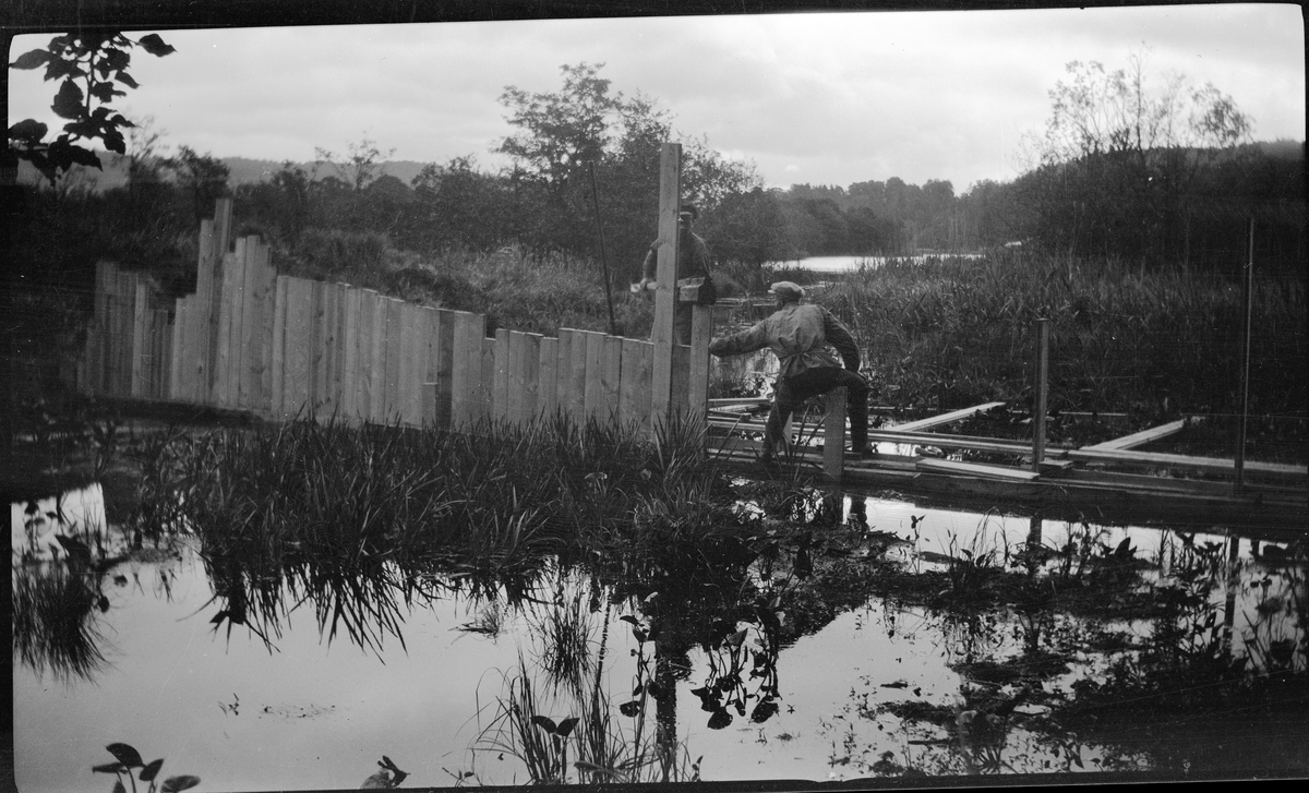 Två män arbetar med att slå ner en spåntvägg tvärs över den inre vallgraven vid Rumlaborg i Huskvarna i samband med arkeologiska undersökingar sommaren 1932. Spåntväggens syfte var att hålla borta vatten från Huskvarnaån från den inre vallgraven så att den kunde undersökas.