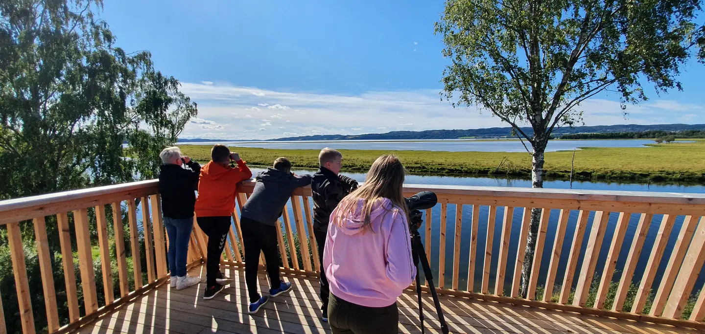 Foto av en gruppe barn som står oppe i et fugletårn og kikker i et teleskop