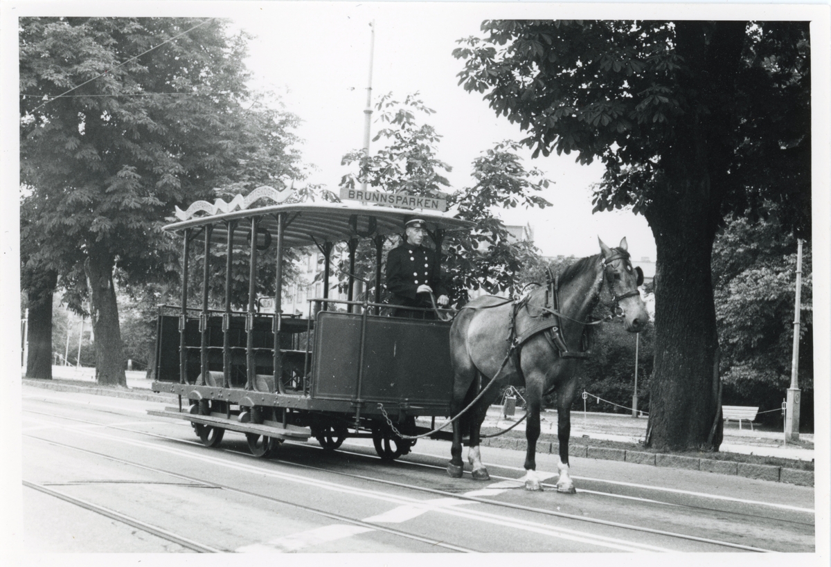 Hästdragen spårvagn i Brunnsparken, Göteborg. Okänt fotoår.