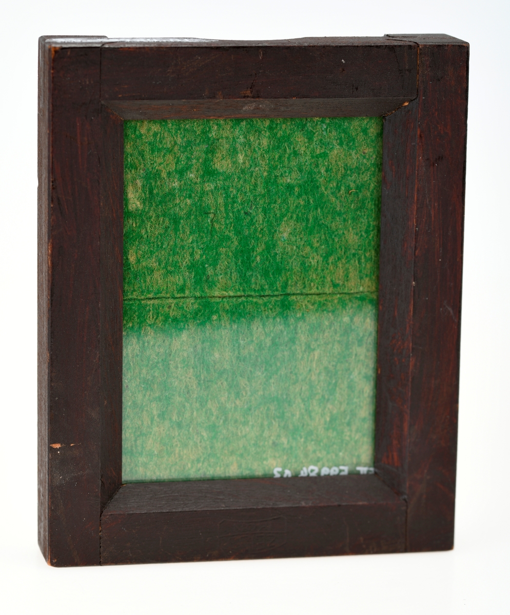 En holder til fotoplater av glass i tre. Platen er holdt på plass av metallfjærer på baksiden. Treplaten på innsiden av holderen er hengslet på midten og er dekt i grønn filt. I holderen står det en glassplate i klart glass.